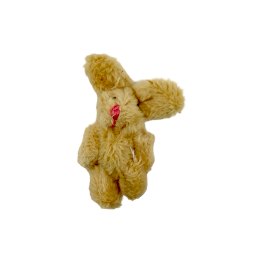 Miniature Bear