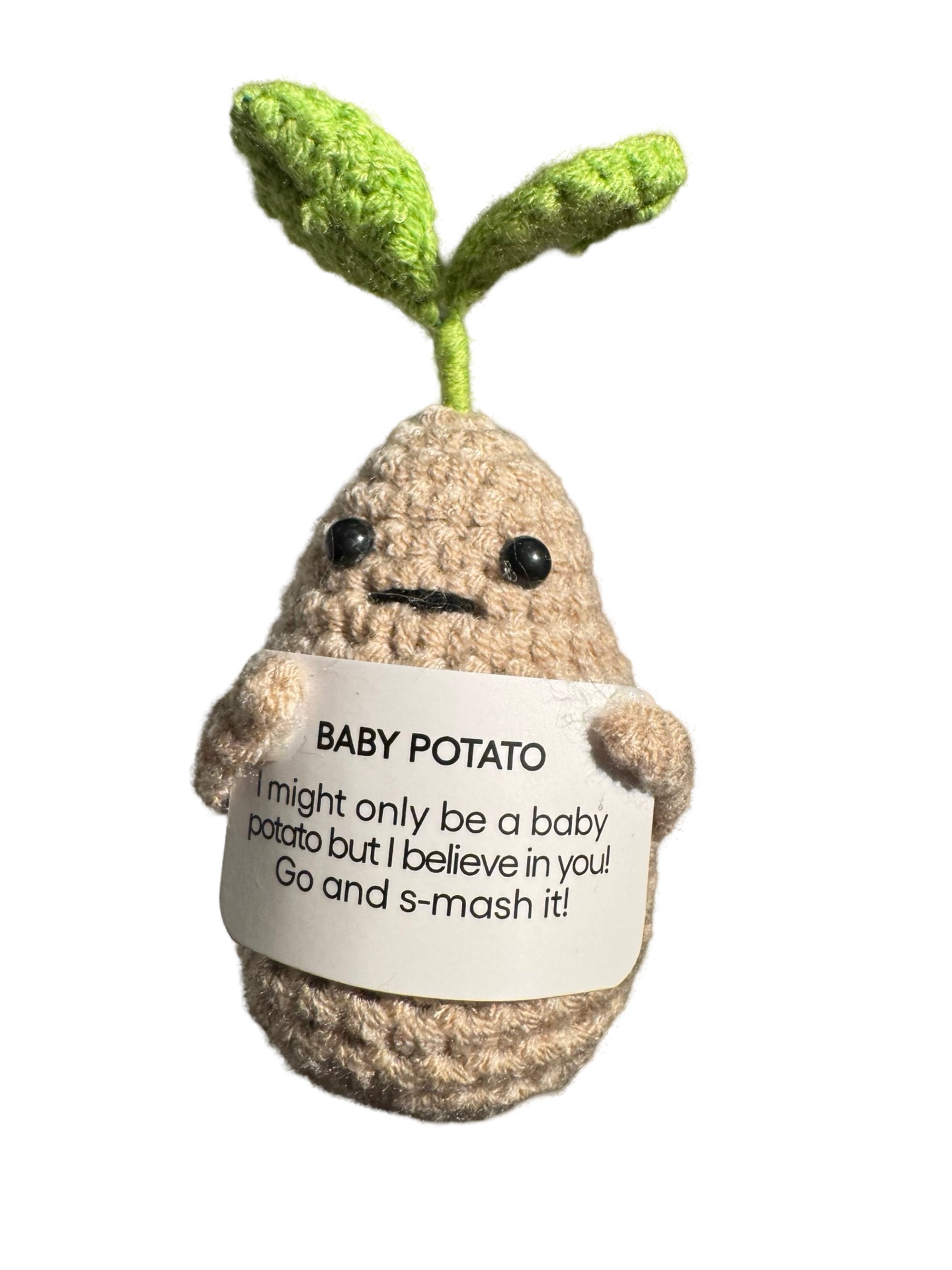 Sprouted baby potato
