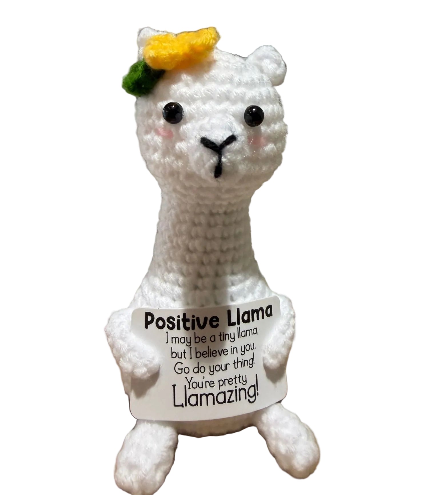 Positive Llama