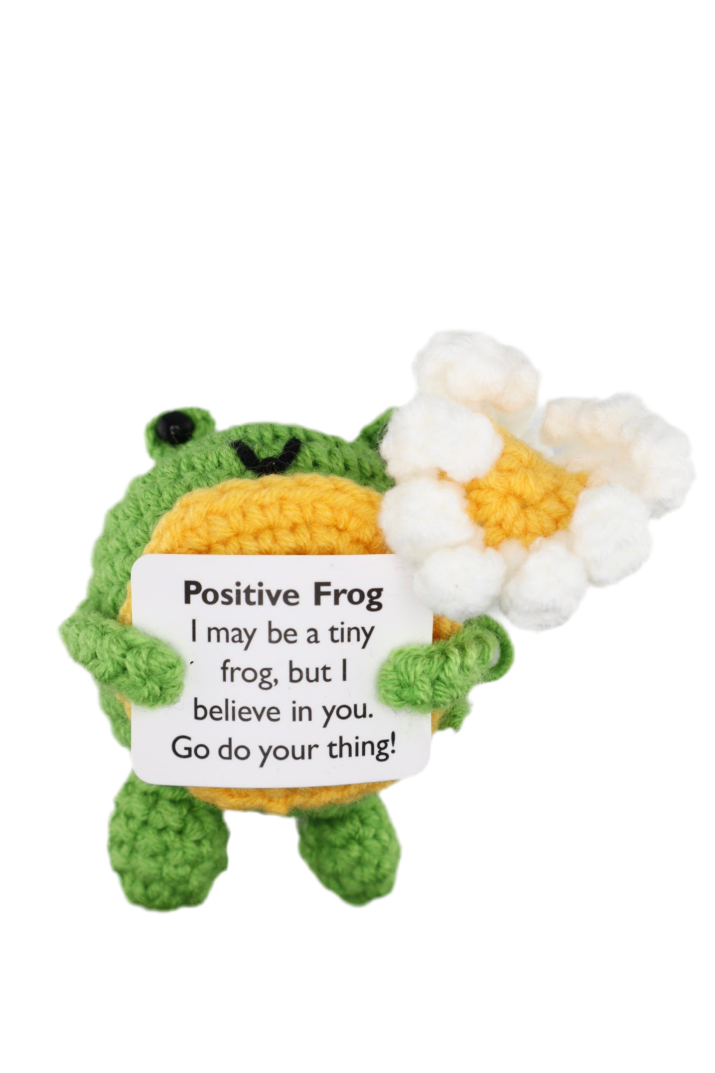 Positive Frog with a Daisy