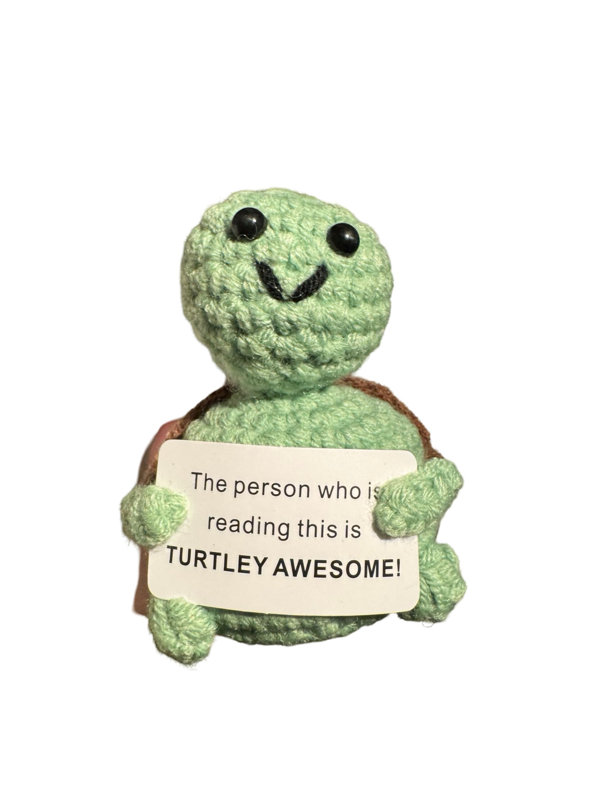 Positive Turtle