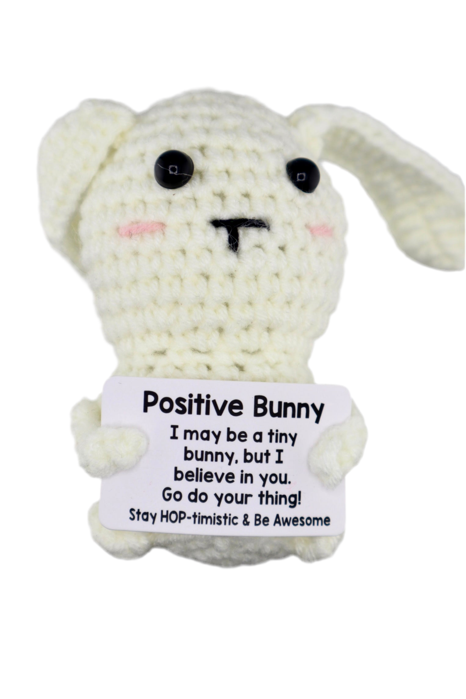 Positive Bunny – The Gnome Garden
