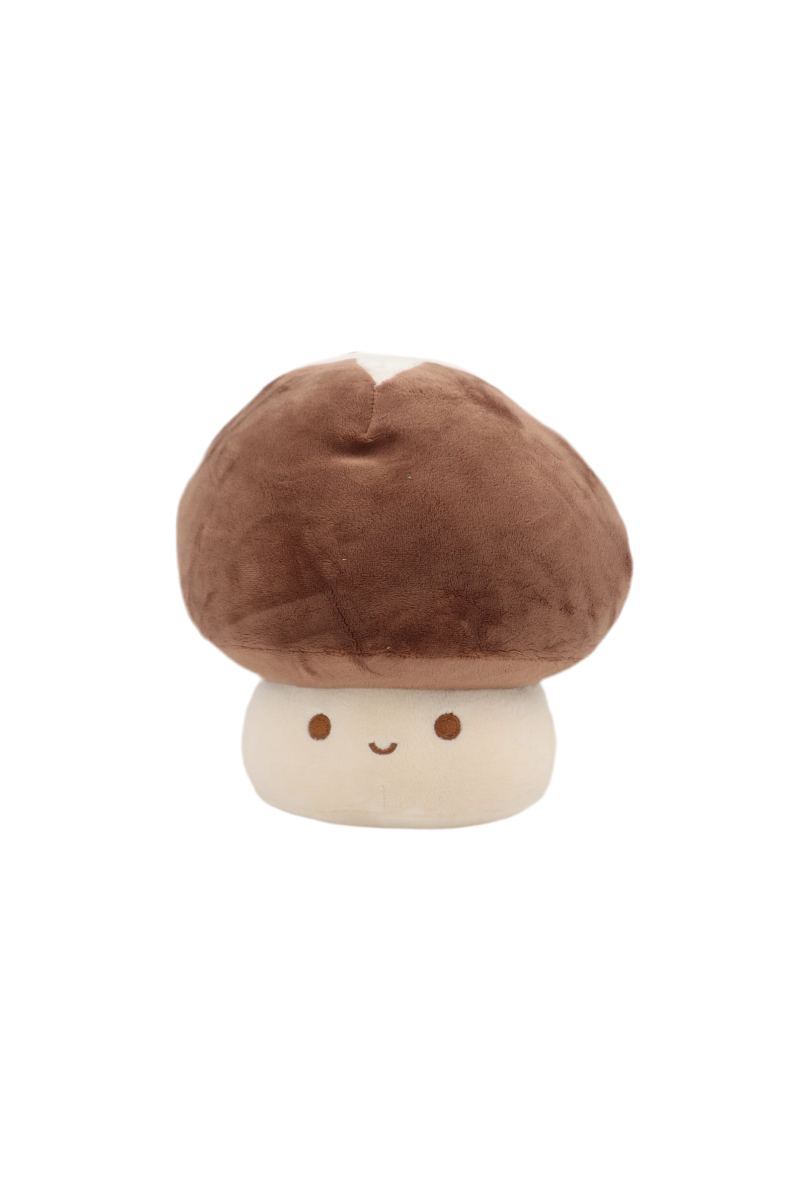 SMALL BROWN MUSHROOM CUSHION