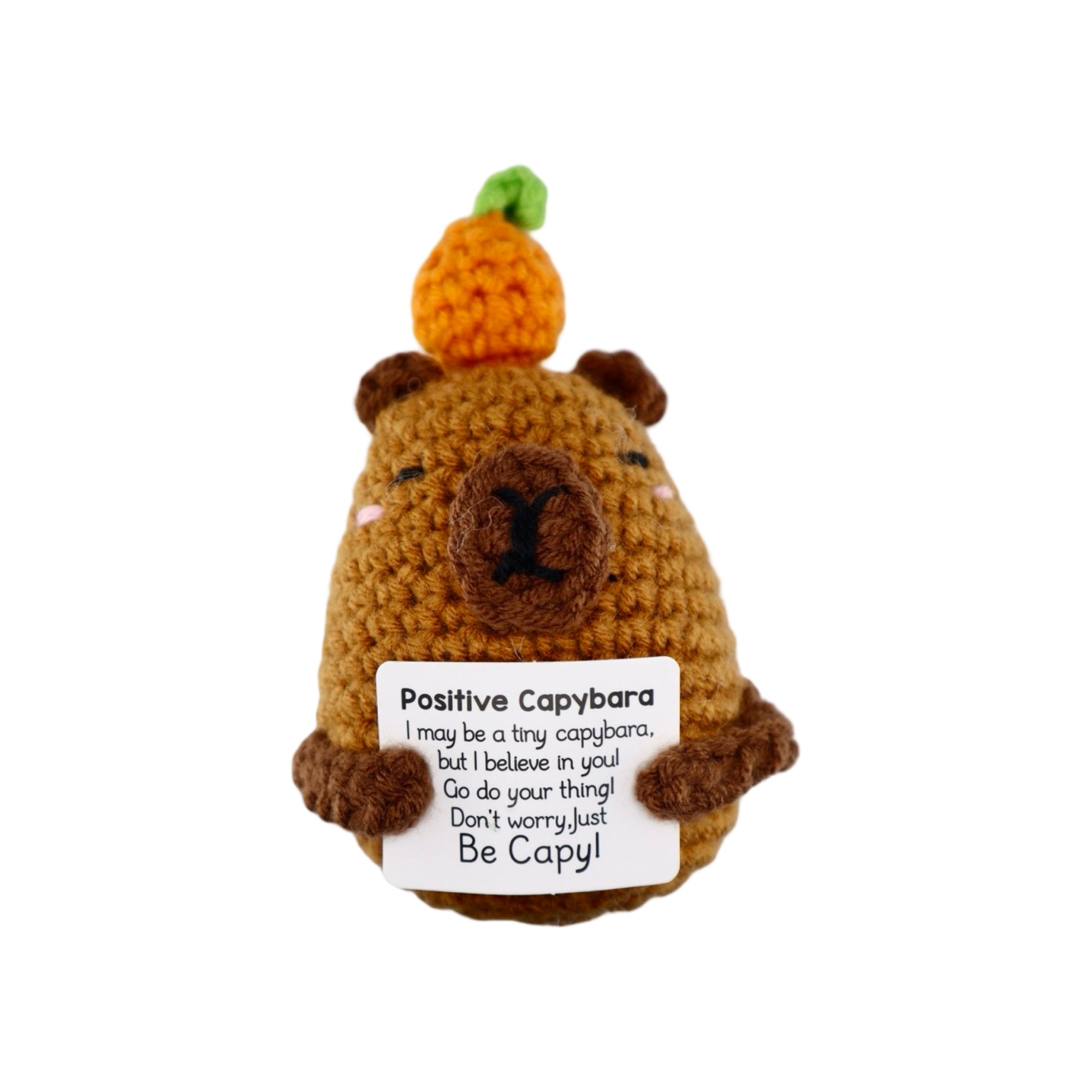 Happy Capybara 1