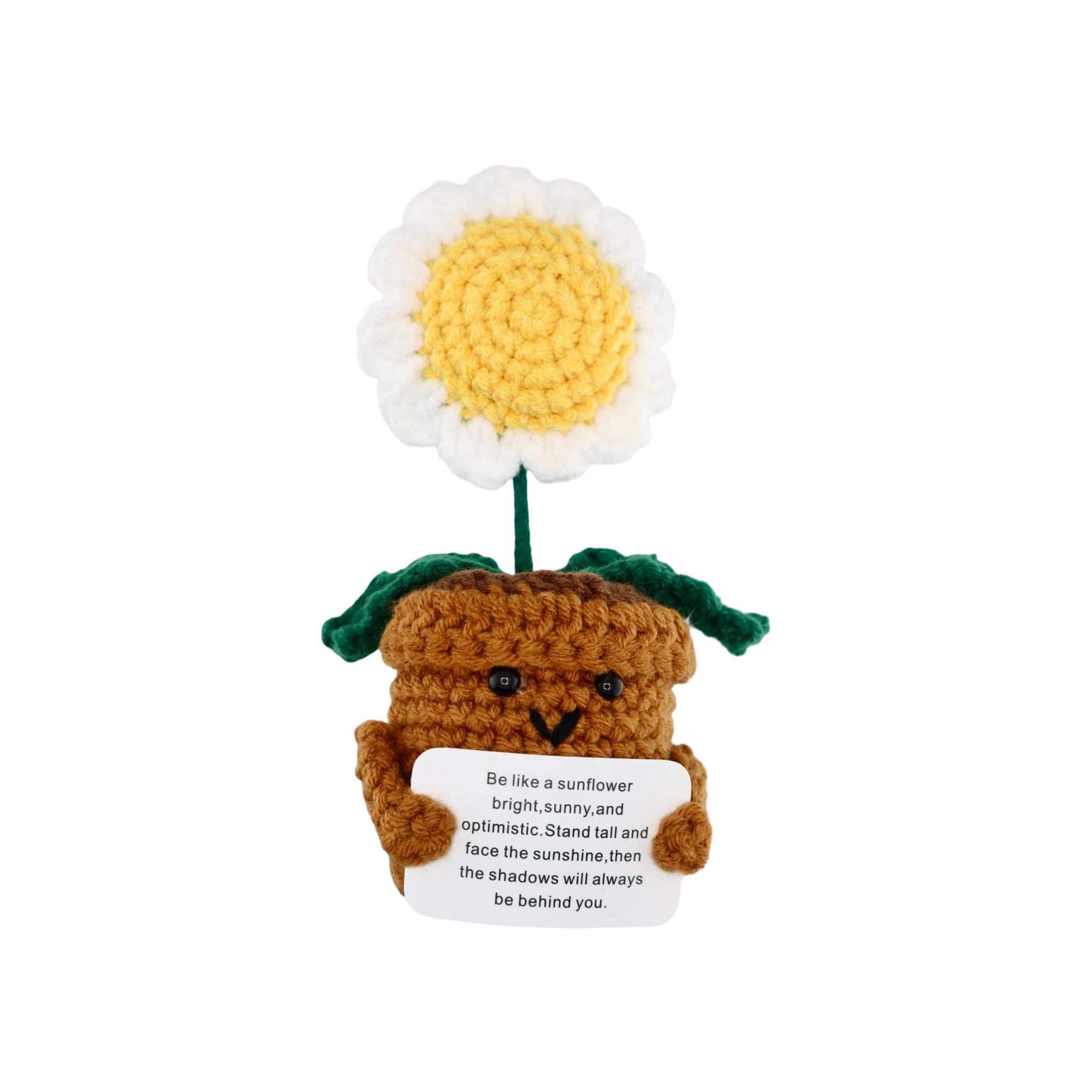 White Sunflower