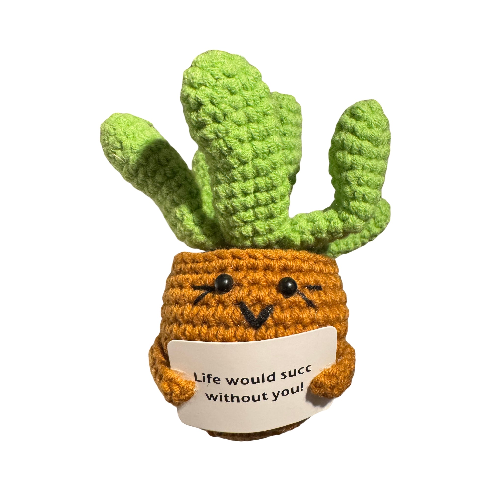 Positive Succulent