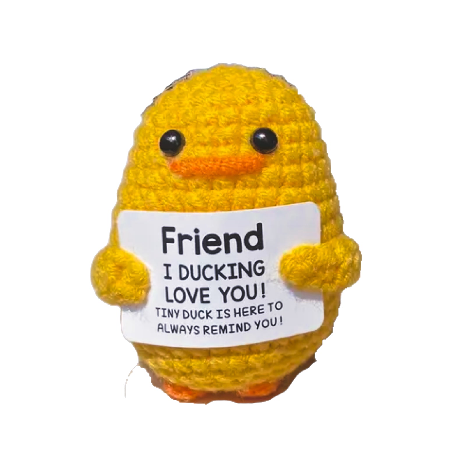 Positive Friend Duck
